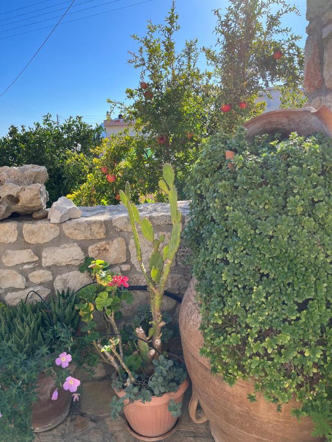 Katerina'S Rest Stone Ηouse Villa Charakas Luaran gambar